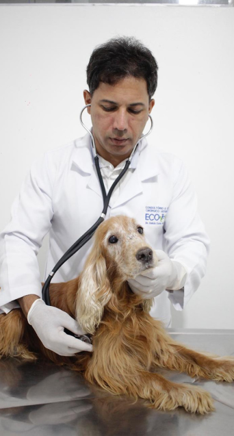 Dr Edezio examinando cachorro